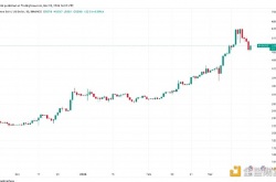 CryptoQuant：由于减半叙事 牛市远未结束