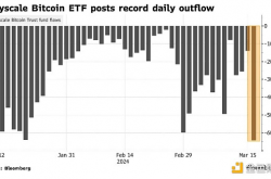 Bloomberg：是谁让BTC价格回落？