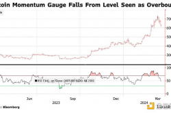 Bloomberg：BTC投机性投资的环境不利