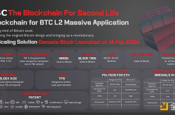 基于UTXO底层模型的原生BVM ：同一基因的BTC L2扩容方案才具有意义与价值