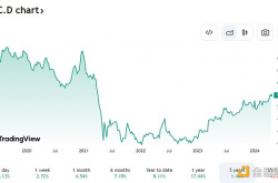 哪六种山寨币的表现在2024年超越了BTC？