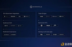 Multicoin合伙人：三点读懂我们为何领投Wormhole 2.25亿美元融资