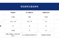 24年新加坡基金架构设立及监管要求（虚拟资产）