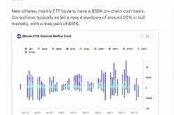 加密货币分析师表示：比特币 ETF 需求可能会上升