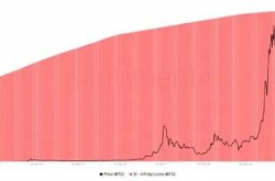 BTC用户或在2025年突破10亿？