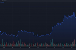 投资公司Carson Group为客户增加BTC现货交易