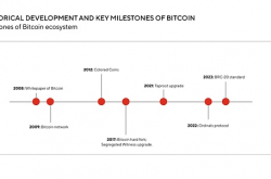 BTC生态的全景分析：重塑历史或开启下一次牛市