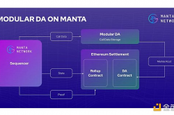 一文详解 MANTA 代币经济学