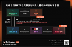 秒懂现货ETF对比特币价格的影响——以1000美金实操为例