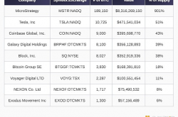 CryptoSlate报告：2024年谁是持有BTC最多的巨鲸