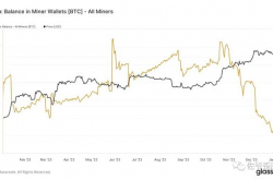 比特币现货 ETF 上蹿下跳 但矿工已无处可悲鸣