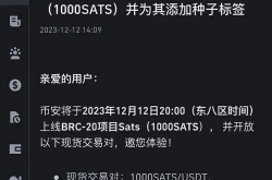 SATS 的 “发展历程” 如何实现100倍涨幅？