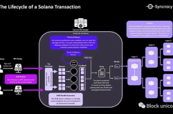 Solana浴火重生：在地狱中建造天堂