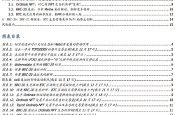 BRC-20：来自BTC基因的创新与破局