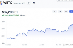 当你们忙着打铭文的时候 RWA代币早就悄悄起飞了