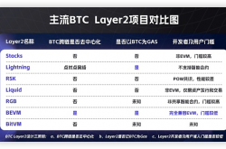 一文盘点各大主流BTCLayer2及其优劣