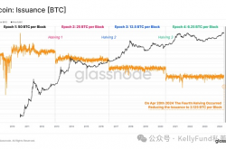 特殊的牛市？第四次“减半”多项指标被打破