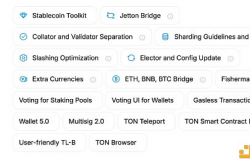 TON 2024 年路线图详解：Gas、DeFi 和 Stake