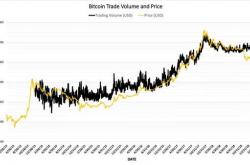 10个月，三千多美元涨到三万多美元，是什么让比特币坐上火箭