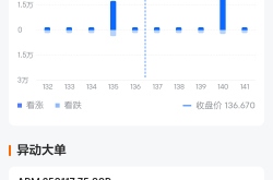 Arm Holdings期权聚焦：6月5日成交14.51万张，未平仓合约66.32万张