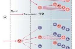 群体免疫究竟是怎么回事？